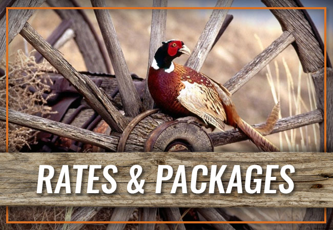 Wagon Wheel Ranch Rates & Packages