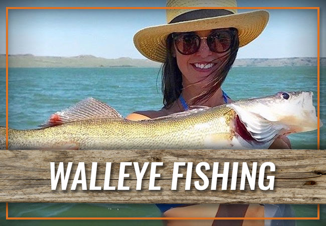 Guided Walleye Fishing With Wagon Wheel Ranch