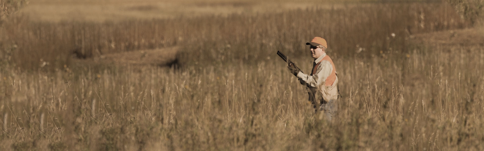 Guided Pheasant Hunting South Dakota